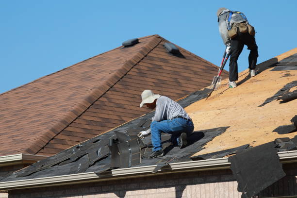 Best Green or Eco-Friendly Roofing Solutions  in Lucedale, MS
