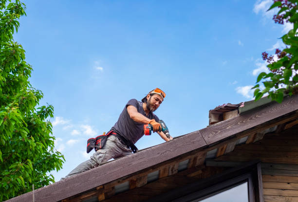 Best Roofing for New Construction  in Lucedale, MS