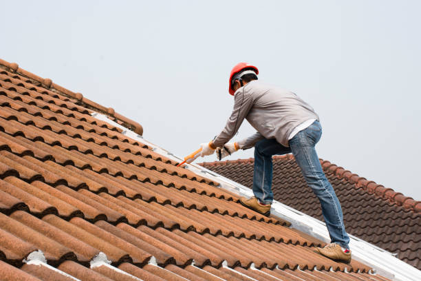 Best Storm Damage Roof Repair  in Lucedale, MS