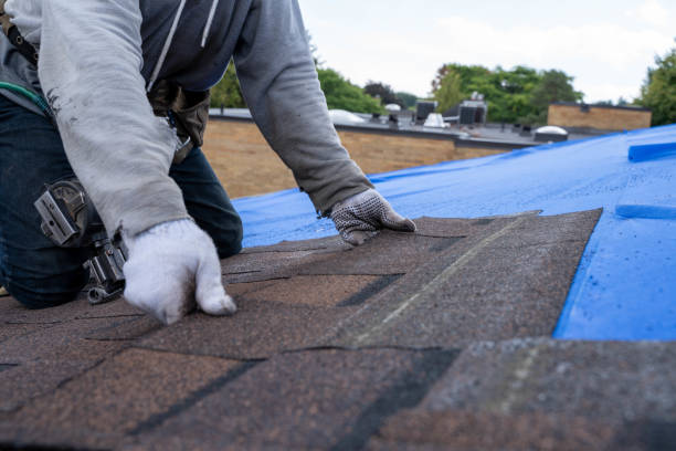 Best Solar Panel Roofing Installation  in Lucedale, MS