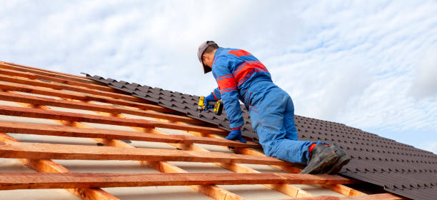 Best Roof Leak Repair  in Lucedale, MS