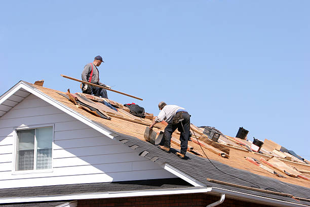 Best Roof Coating and Sealing  in Lucedale, MS