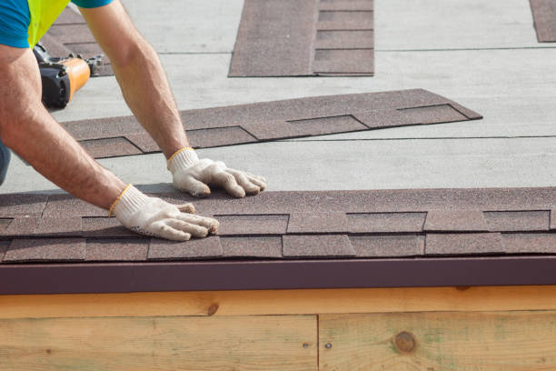 Best Metal Roofing Installation  in Lucedale, MS